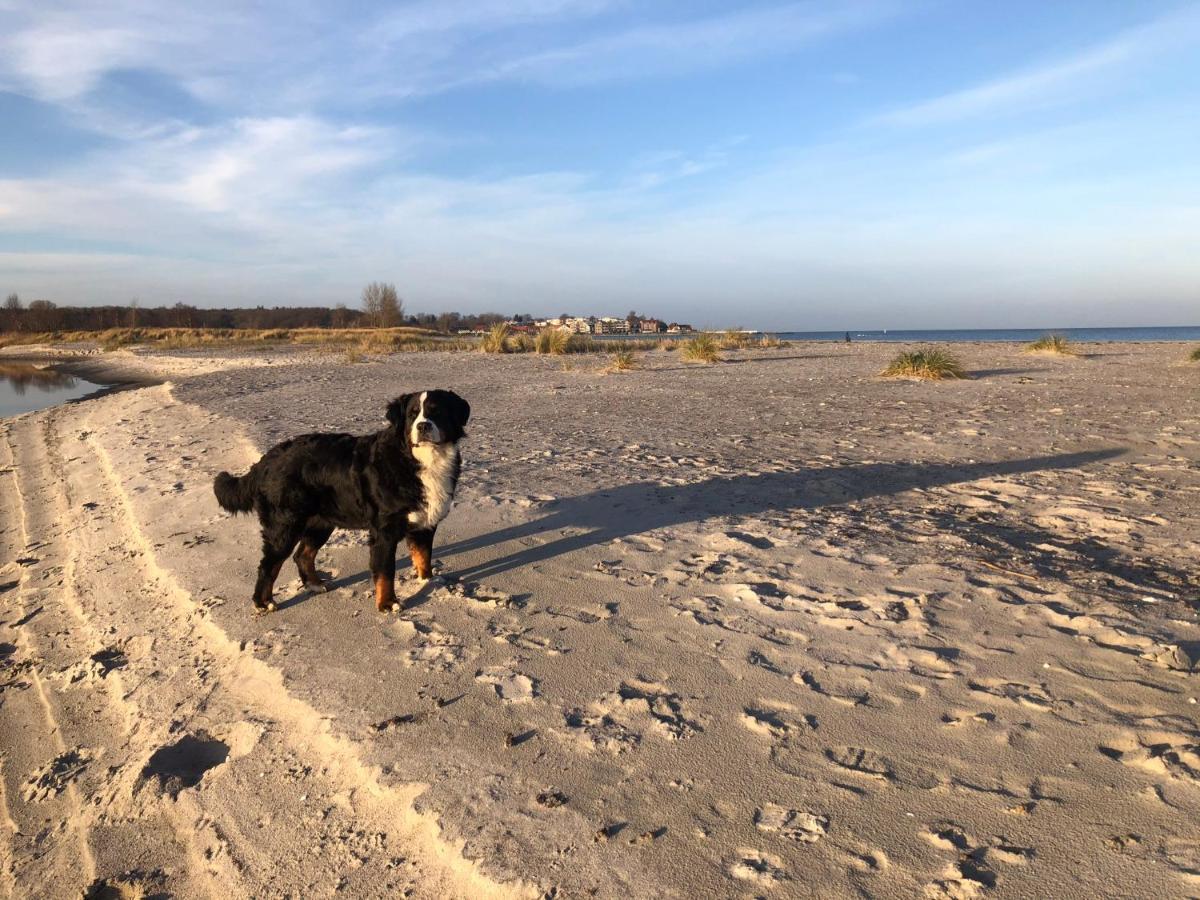 Ferienwohnung „Die Koje“ Hohwacht/Ostsee Exteriér fotografie